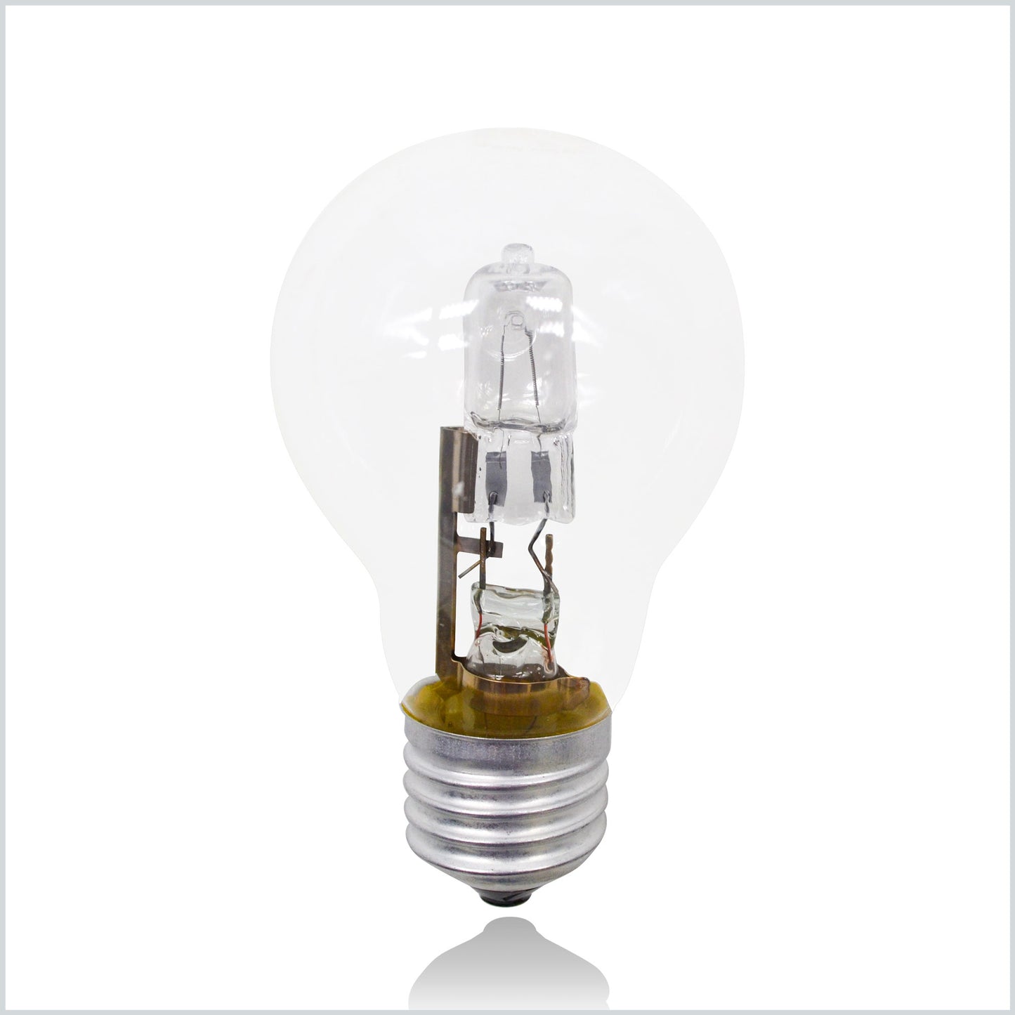 A55 Halogen Lamp