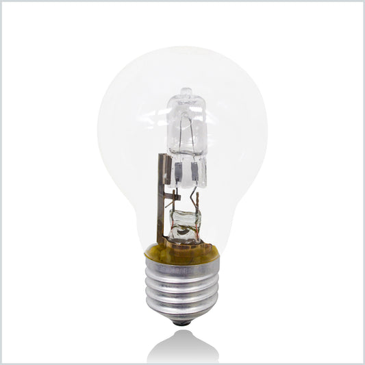 A55 Halogen Lamp